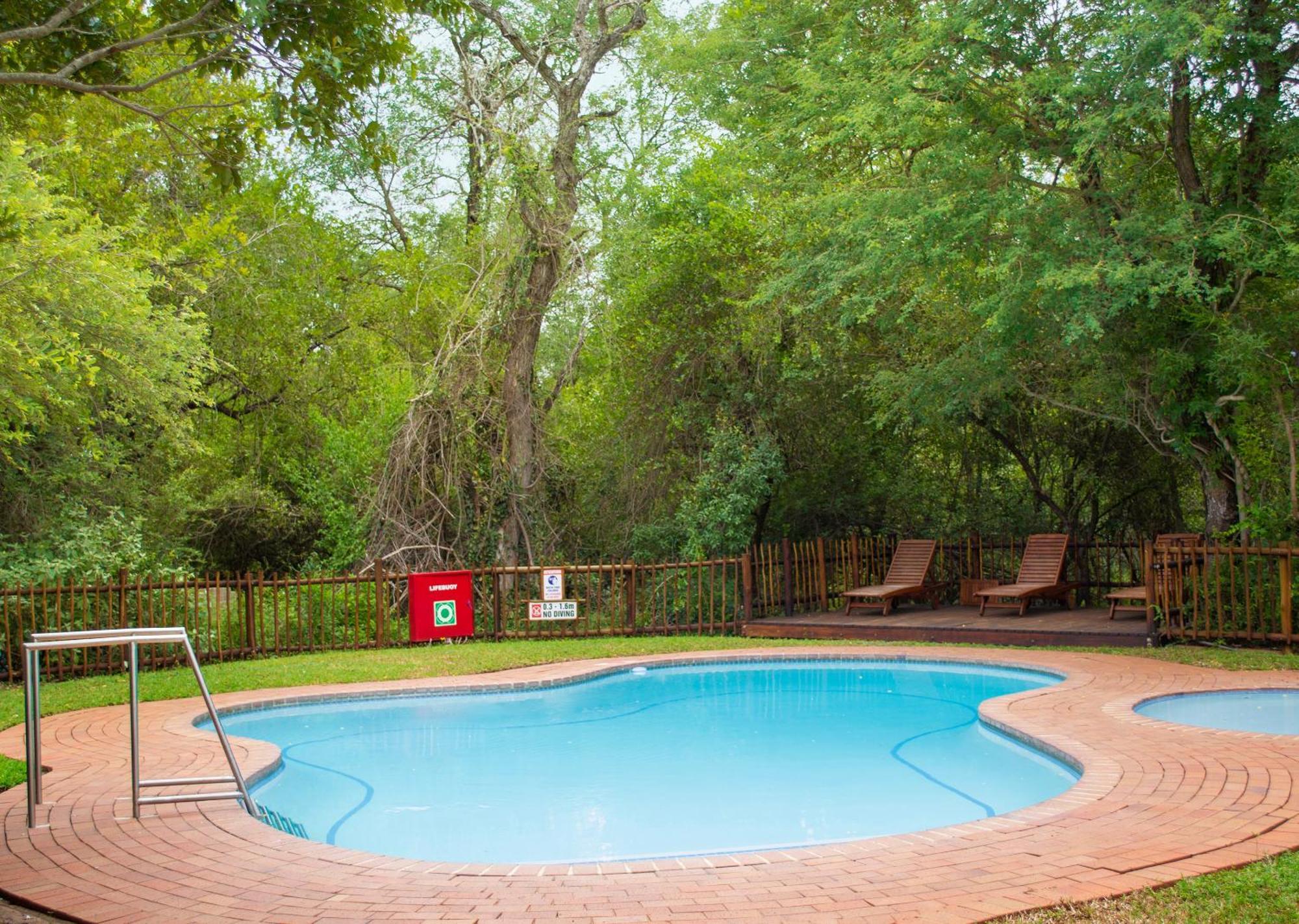 Burchell's Bush By Dream Sabi Sand Game Reserve